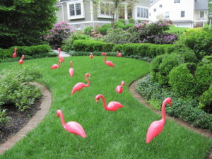 flamingo yard